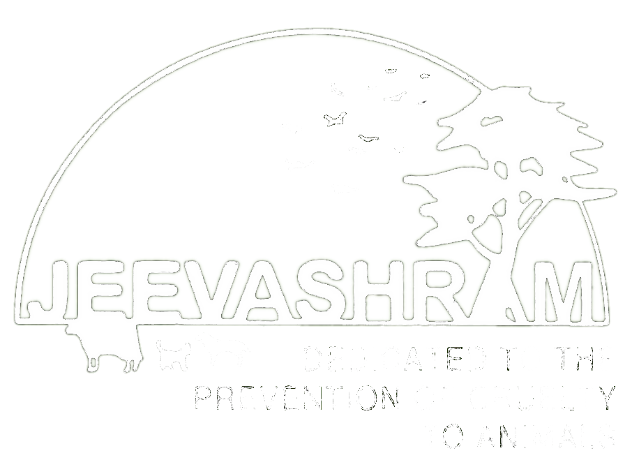 Jeevashram Foundation